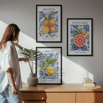 Lot de 3 tableaux pour salon Illustrations vintage d'agrumes