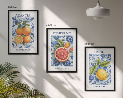 Lot de 3 tableaux pour salon Illustrations vintage d'agrumes