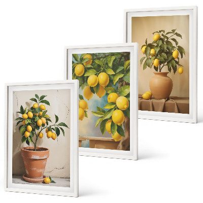Lot de 3 tableaux pour salon Citronniers en pot et vase