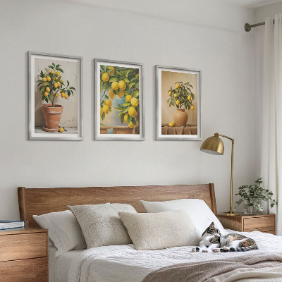 Lot de 3 tableaux pour salon Citronniers en pot et vase