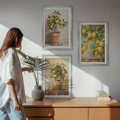 Lot de 3 tableaux pour salon Citronniers en pot et vase