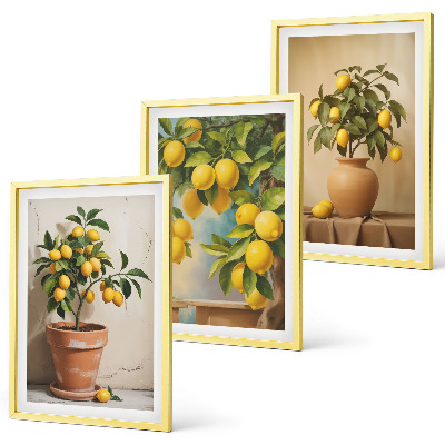 Lot de 3 tableaux pour salon Citronniers en pot et vase