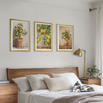 Lot de 3 tableaux pour salon Citronniers en pot et vase