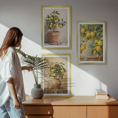 Lot de 3 tableaux pour salon Citronniers en pot et vase