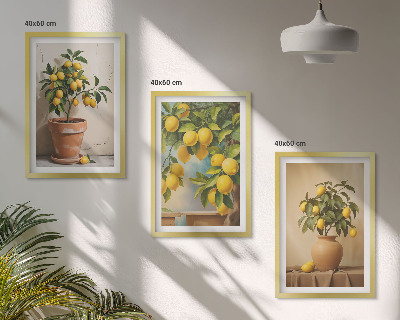 Lot de 3 tableaux pour salon Citronniers en pot et vase