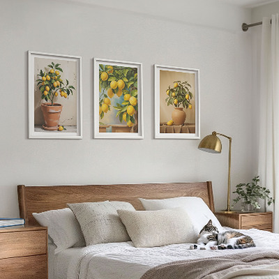 Lot de 3 tableaux pour salon Citronniers en pot et vase