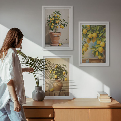 Lot de 3 tableaux pour salon Citronniers en pot et vase