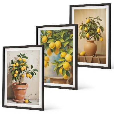Lot de 3 tableaux pour salon Citronniers en pot et vase