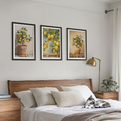 Lot de 3 tableaux pour salon Citronniers en pot et vase