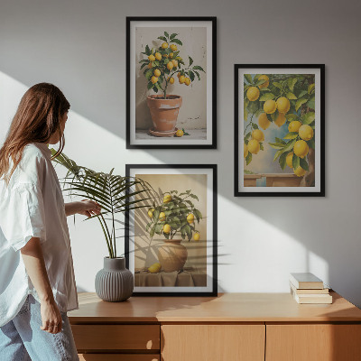 Lot de 3 tableaux pour salon Citronniers en pot et vase