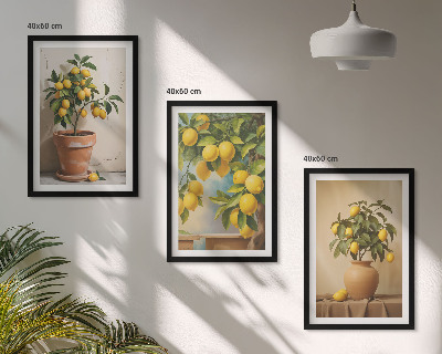 Lot de 3 tableaux pour salon Citronniers en pot et vase