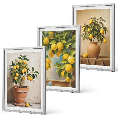 Lot de 3 tableaux pour salon Citronniers en pot et vase