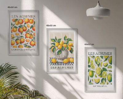 Cadre photo mural Agrumes en versions colorées