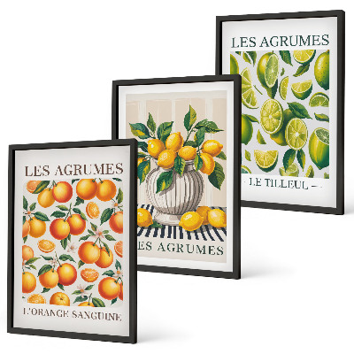 Cadre photo mural Agrumes en versions colorées