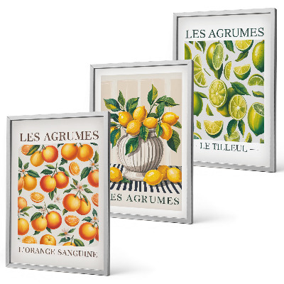 Cadre photo mural Agrumes en versions colorées