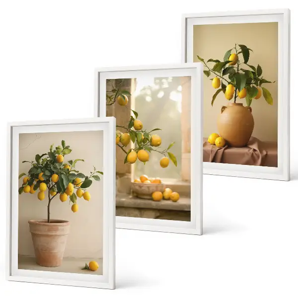Citronniers en pot lot de 3 tableaux pour salon