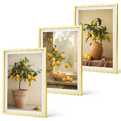 Citronniers en pot lot de 3 tableaux pour salon