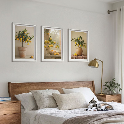 Lot de 3 tableaux pour salon Citronniers en pot