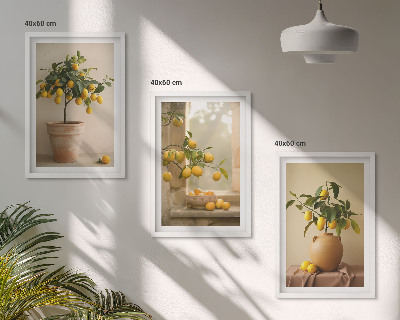 Lot de 3 tableaux pour salon Citronniers en pot