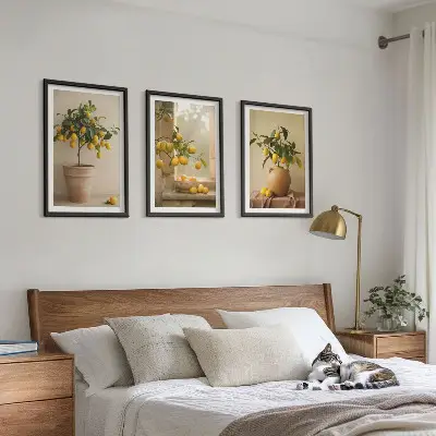 Citronniers en pot lot de 3 tableaux pour salon