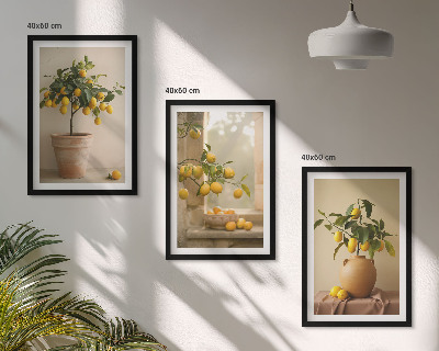 Lot de 3 tableaux pour salon Citronniers en pot