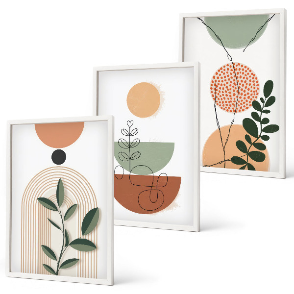 Lot de 3 tableaux pour salon Formes végétales abstraites