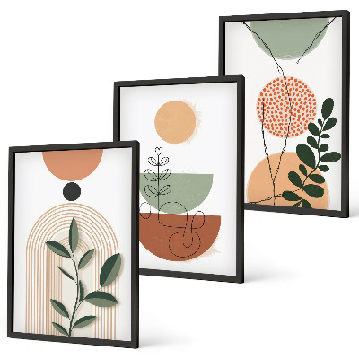 Lot de 3 tableaux pour salon Formes végétales abstraites