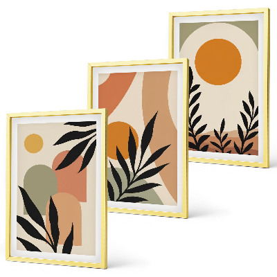 Lot de 3 tableaux pour salon Formes végétales abstraites
