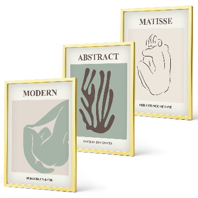 Lot de 3 tableaux pour salon Les peintures abstraites élégantes de Matisse