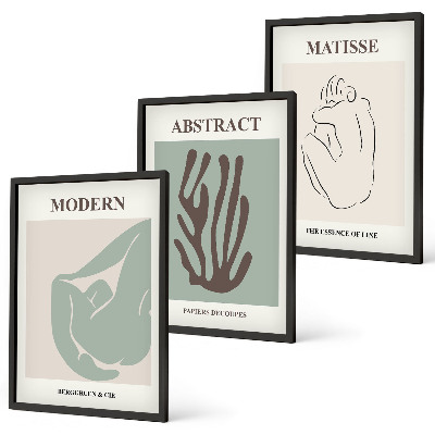 Lot de 3 tableaux pour salon Les peintures abstraites élégantes de Matisse