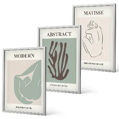 Lot de 3 tableaux abstraits style Matisse élégantes décorations murales pour salon