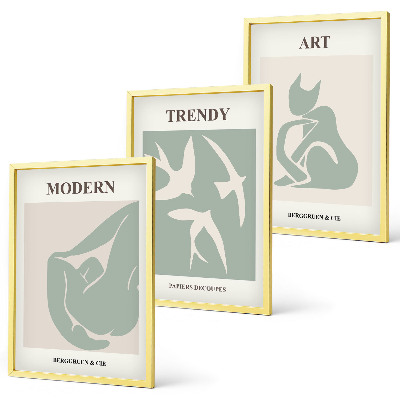 Lot de 3 tableaux pour salon Figures abstraites de Matisse