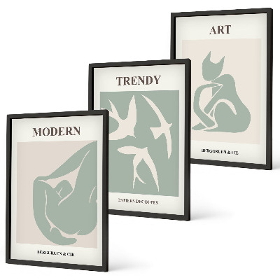 Lot de 3 tableaux pour salon Figures abstraites de Matisse