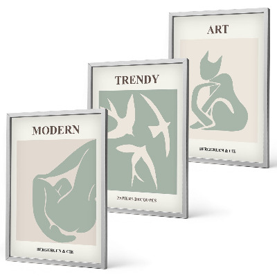 Lot de 3 tableaux pour salon Figures abstraites de Matisse