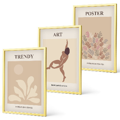 Lot de 3 tableaux pour salon Les formes abstraites de Matisse
