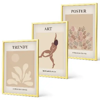 Lot de 3 tableaux pour salon représentant les formes abstraites de Matisse