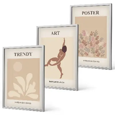 Lot de 3 tableaux pour salon représentant les formes abstraites de Matisse