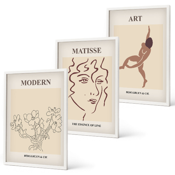 Lot de 3 tableaux pour salon Graphismes stylés, fleurs, personnages