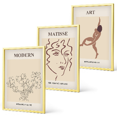 Lot de 3 tableaux pour salon Graphismes stylés, fleurs, personnages