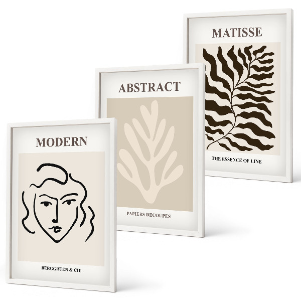 Lot de 3 tableaux pour salon Feuilles de visage, art de Matisse