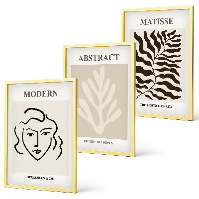 Lot de 3 tableaux pour salon Feuilles de visage, art de Matisse
