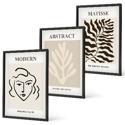 Lot de 3 tableaux pour salon Feuilles de visage, art de Matisse