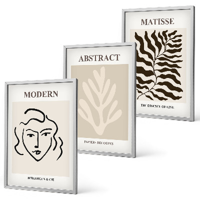 Lot de 3 tableaux pour salon Feuilles de visage, art de Matisse