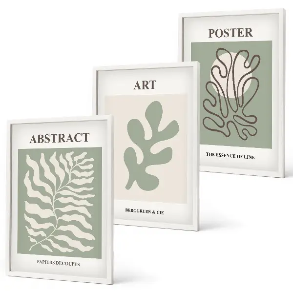 Lot de 3 affiches motifs végétaux de Matisse tableaux décoratifs pour salon