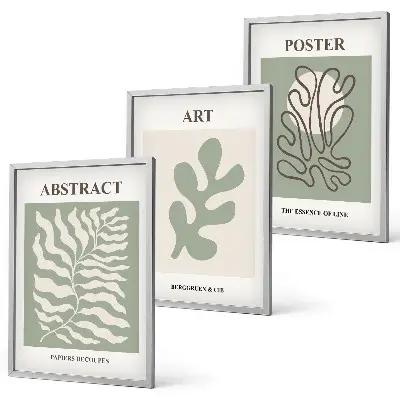 Lot de 3 affiches motifs végétaux de Matisse tableaux décoratifs pour salon