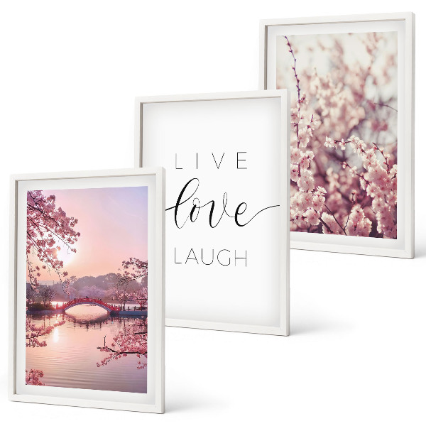 Lot de 3 tableaux pour salon Motif d'inscription du pont de fleurs
