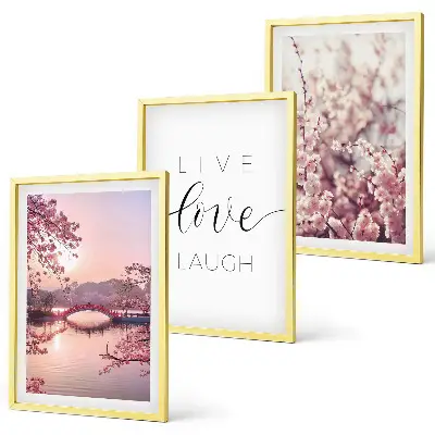Lot de 3 tableaux pour salon motif avec pont et fleurs