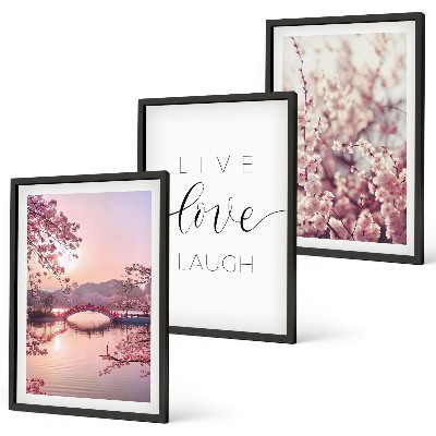 Lot de 3 tableaux pour salon Motif d'inscription du pont de fleurs