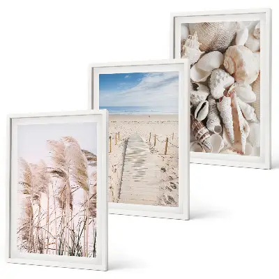 Lot de 3 tableaux pour salon avec motif coquillages de plage et herbes marines