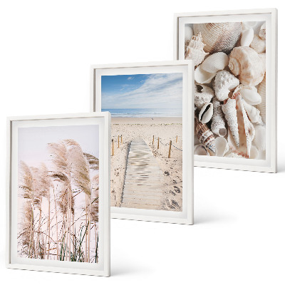 Lot de 3 tableaux pour salon Coquillages de plage, herbes marines